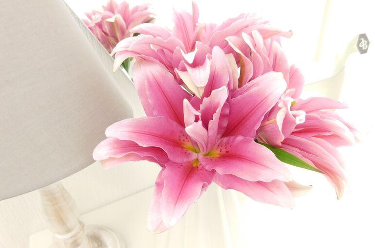 326B255D-3FA7-4259-AB68-940DFD10CDF9