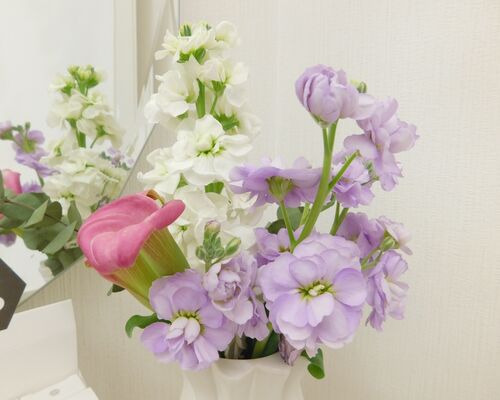 A341A9B2-1B60-4F6A-BC52-1D7513E64DEA