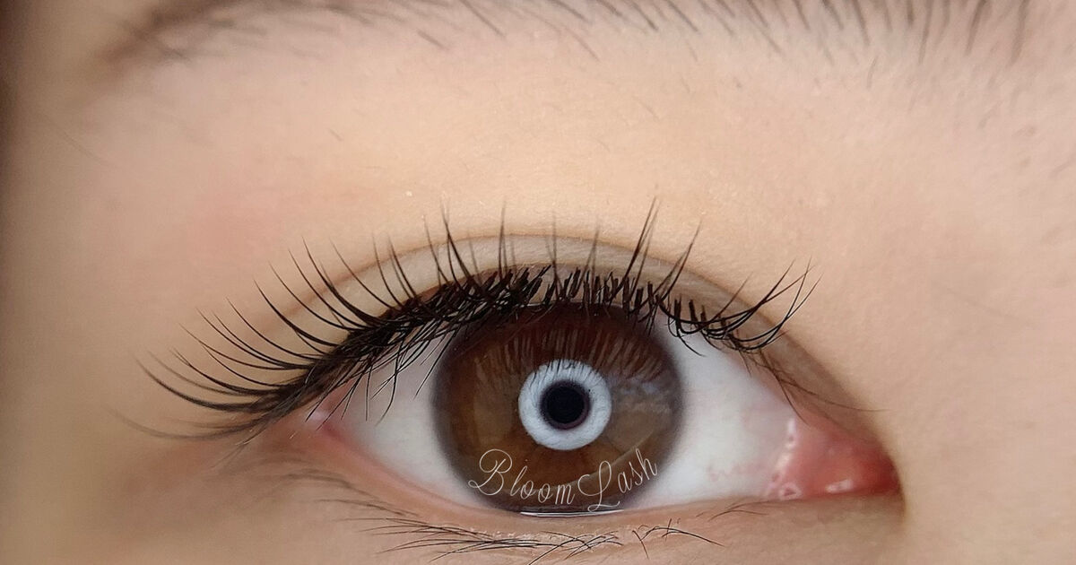 セーブルシングルラッシュ100本 |松戸・市川マツエクサロン